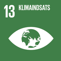 13. Climate Action