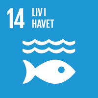 14. Life Below Water