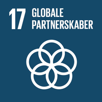 17. Partnerships For the Goals