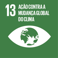 13. Ações pelo clima