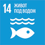 14. Life Below Water