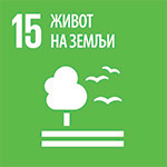 15. Life on Land